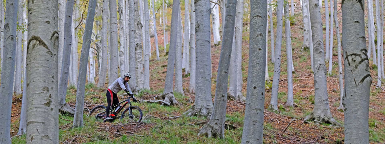 garfagnana mtb sharing garfagnanadream 5 768x287