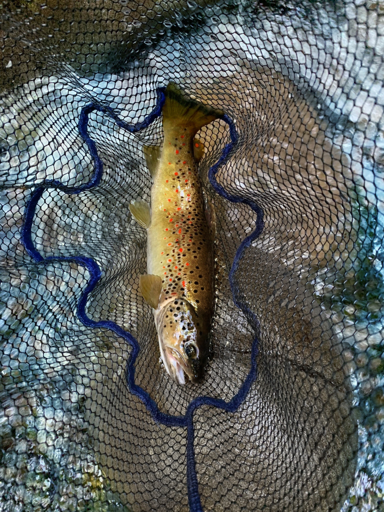 guida pesca garfagnana turismo 16 768x1024