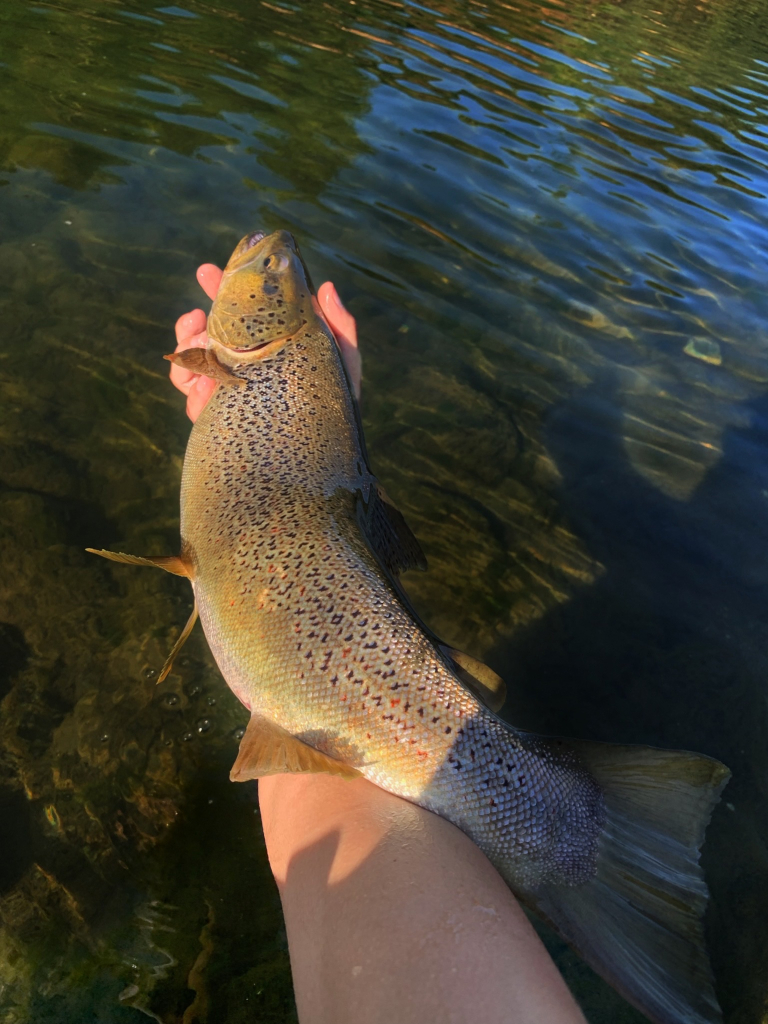 guida pesca garfagnana turismo 6 768x1024